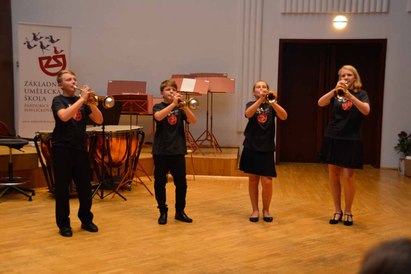 Pozvnka na koncert