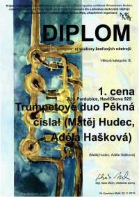 Diplom