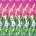 N�hled p�edn�ho p�ebalu CD