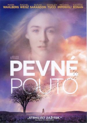 Pevn pouto